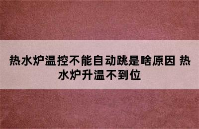 热水炉温控不能自动跳是啥原因 热水炉升温不到位